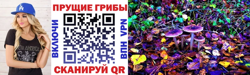 Псилоцибиновые грибы GOLDEN TEACHER  магазин    Инта 